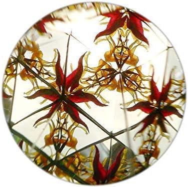 Kaleidoskop Konstruktor für Kinder, originales Design mit Blumen, natürliche Materialien, Spielzeug,