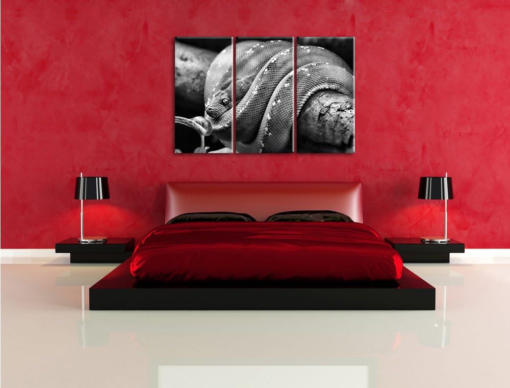 Pixxprint Grüne exotische Schlange als Leinwandbild/Grösse: 3 Teilig (120x80) cm/Wandbild/Kunstdruck