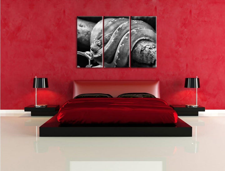 Pixxprint Grüne exotische Schlange als Leinwandbild/Grösse: 3 Teilig (120x80) cm/Wandbild/Kunstdruck
