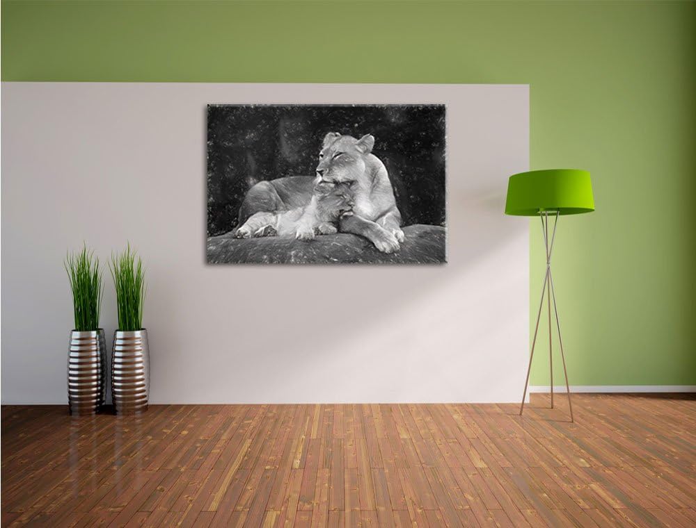 Pixxprint Löwe Löwenjungen / 100x70cm Leinwandbild bespannt auf Holzrahmen/Wandbild Kunstdruck Dekor