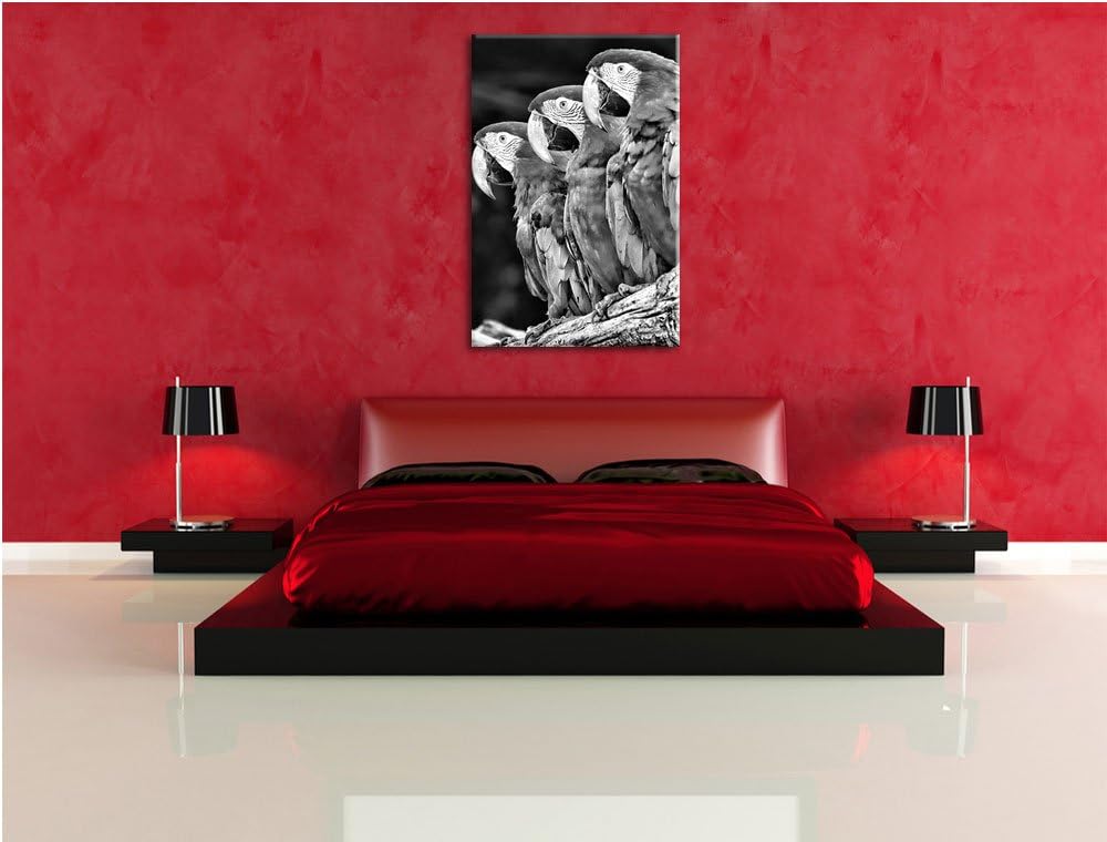 Papageien auf AST als Leinwandbild/Grösse: 100x70 / Wandbild/Kunstdruck/fertig bespannt, 100x70