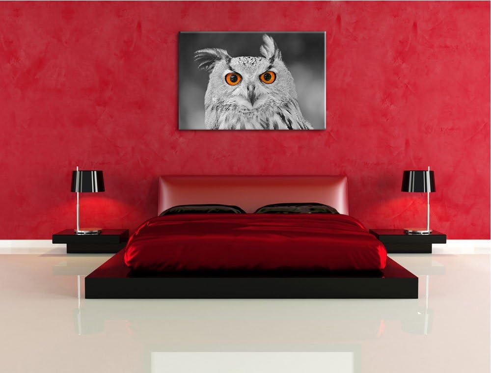 süsser Eulen Kauz schwarz/weiss Format: 100x70 auf Leinwand, XXL riesige Bilder fertig gerahmt mit K