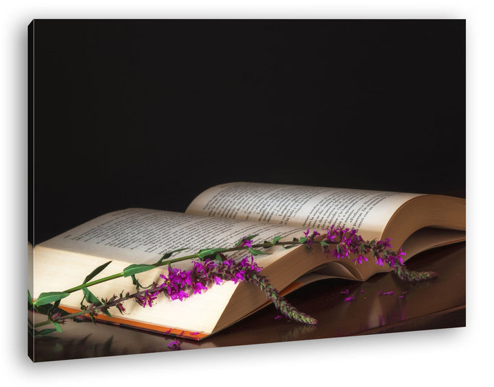 deyoli aufgeschlagenes Buch mit einem Lavendelzweig Format: 80x60 als Leinwandbild, Motiv fertig ger