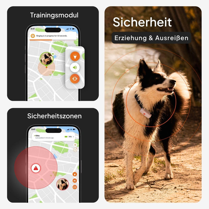 Weenect XS für Hunde - Mini GPS-Tracker für Hunde | GPS-Tracking in Echtzeit | Kleinstes Modell auf
