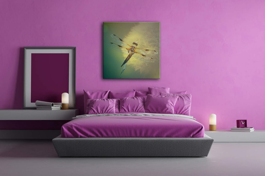 deyoli stolze Libelle Format: 60x60 als Leinwand, Motiv fertig gerahmt auf Echtholzrahmen, Hochwerti