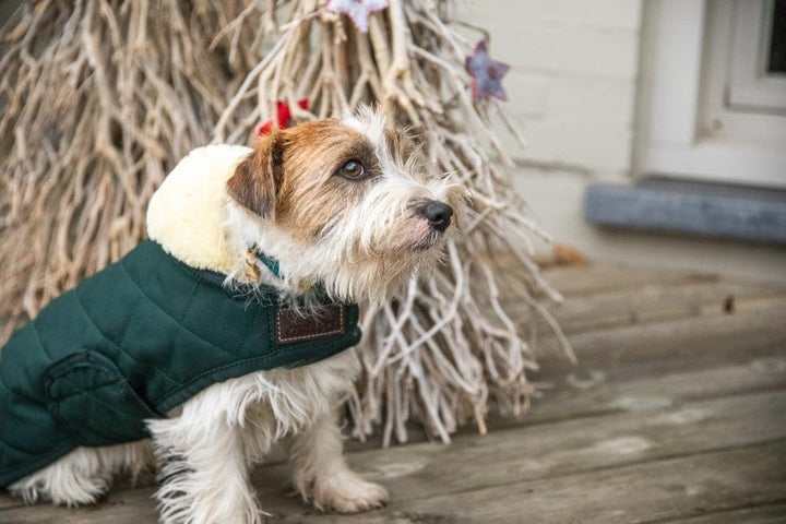 Kentucky Dogwear Hundemantel 160g, Grösse:SM, Farbe:DarkGreen darkgreen SM, darkgreen SM