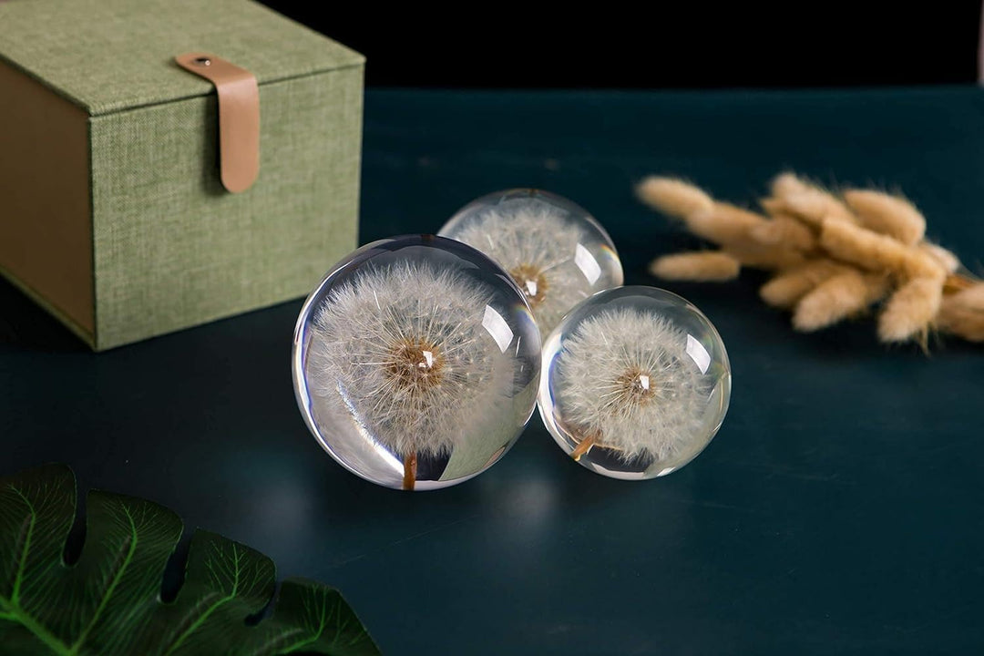 Briefbeschwerer Löwenzahn, EIN Traumball. Kristall Wunschkugel. Einzigartiger Briefbeschwerer aus Lö