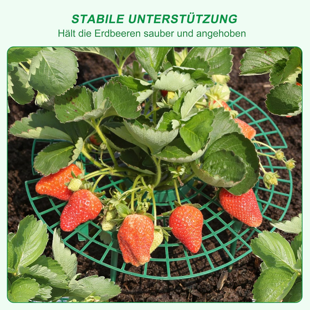10 Stück Orbicular Erdbeerreifer,Erdbeerstützen Ständer,Schneckenschutz Erdbeerstützen,Schneckenschu