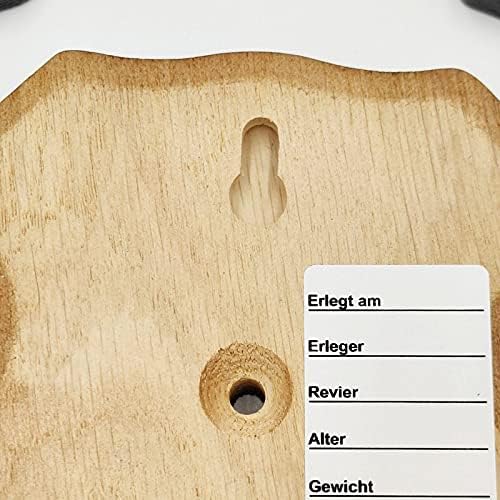 GTK - Geweihe & Trophäen KRUMHOLZ 5 Stück REH Trophäenschilder Stumpf in Eiche Dunkel AF 18,5 cm x 1