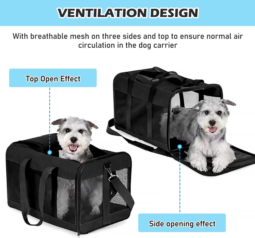 BYZESTY Transportbox Katze Hund Katzentransportbox Hundebox Faltbar Hundetransportbox Katzen Transpo