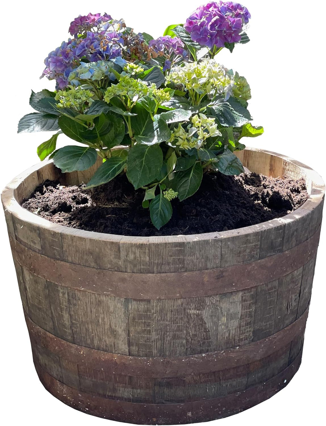 Temesso Halbes Fass rund aus einem original schottischen Whiskyfass (Natur - mit Schlaufen und Rolle