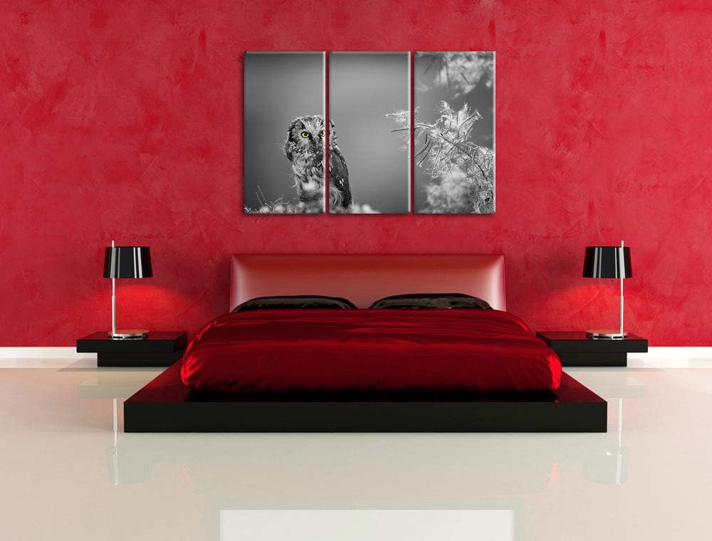 Kleine neugierige Eule schwarz/weiss 3-Teiler Leinwandbild 120x80 Bild auf Leinwand, XXL riesige Bil