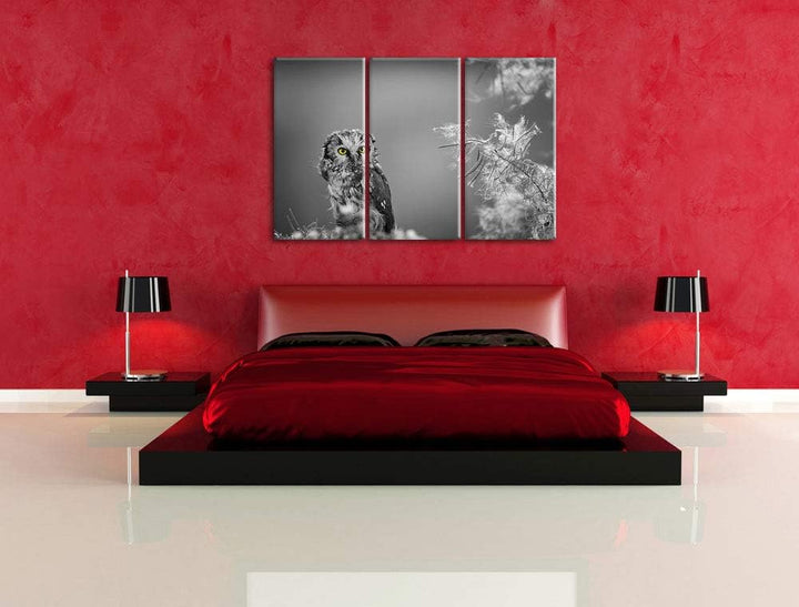 Kleine neugierige Eule schwarz/weiss 3-Teiler Leinwandbild 120x80 Bild auf Leinwand, XXL riesige Bil