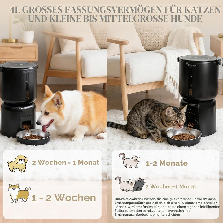 Auveach Futterautomat Katze und Katzenbrunnen Set - 4L 2.4G WiFi Futterspender mit Programmierbarem