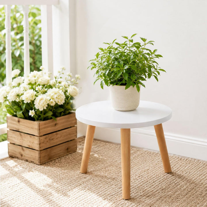 Pflanzenhocker aus Holz, Blumenhocker für Innen & Balkon, Pflanzenständer Stabil Rund, Blumenständer