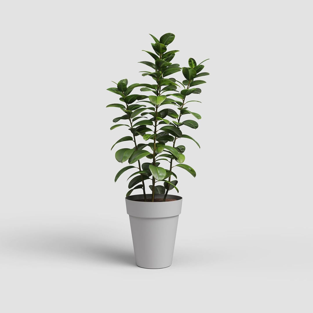 Artevasi Capri-Topf High, Hoher runder Kunststofftopf, 56cm, Farbe: Hellgrau Hellgrau 56cm High, Hel