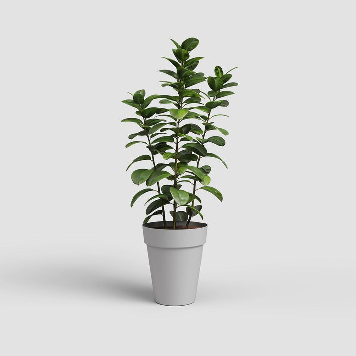 Artevasi Capri-Topf High, Hoher runder Kunststofftopf, 56cm, Farbe: Hellgrau Hellgrau 56cm High, Hel