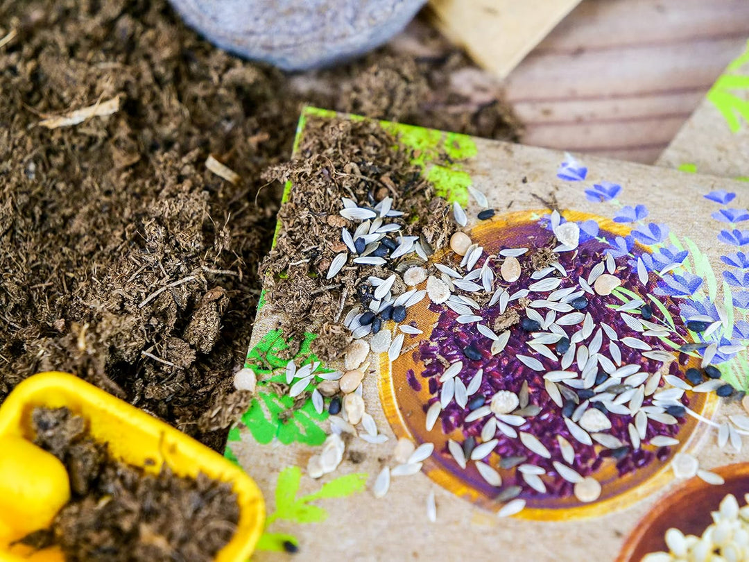 Clementoni Galileo Lab – Bio-Gewächshaus, Garten-Set aus 100% recyceltem Material, Pflanzkasten mit