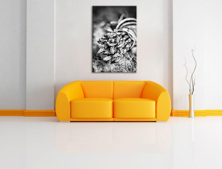 Pixxprint Monocrome, Frischer knackiger Spargel auf Holztisch, Format: 100x70 auf Leinwand, XXL ries