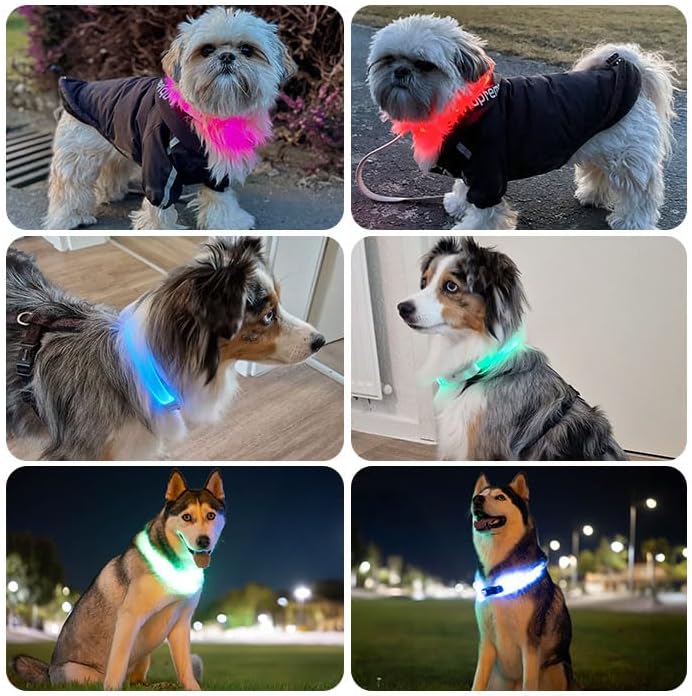 PAJ GPS - LED Leuchthalsband + GPS Tracker für Hunde, doppelte Sicherheit, weltweite Live-Ortung + S