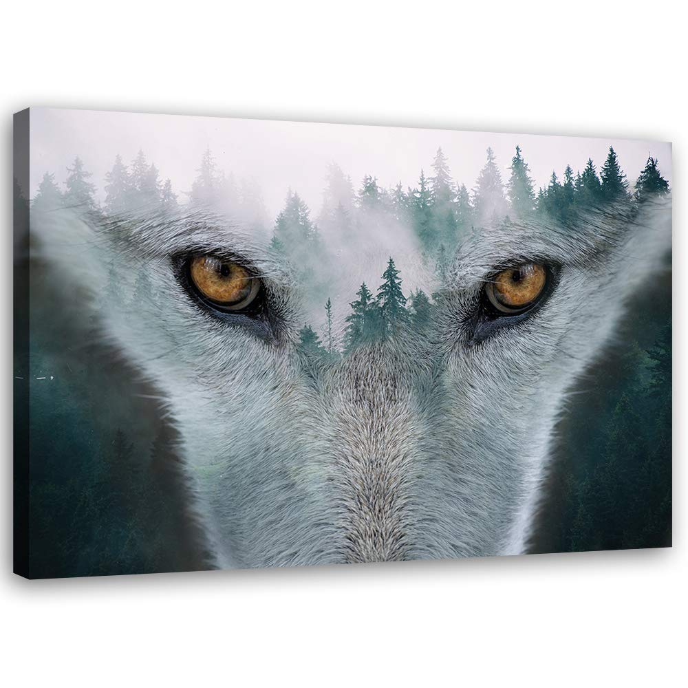 Feeby Vlies Leinwandbild Nebel Wald 80x60 cm Wand Bild Kunstdruck Deko Wohnzimmer Wohnungs Deko Wolf