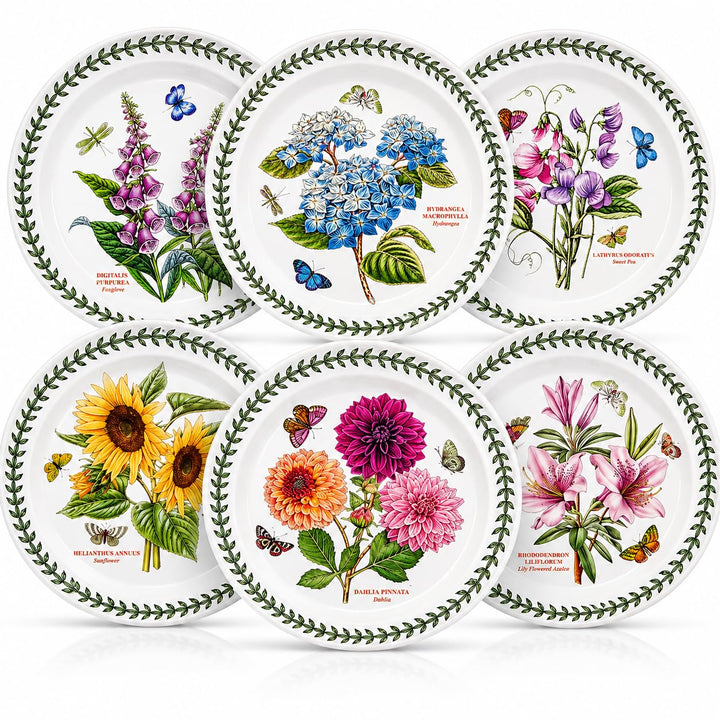 Portmeirion Botanic Garden 25,4 cm Abendessen Teller – Set von 6 Rose, Rose