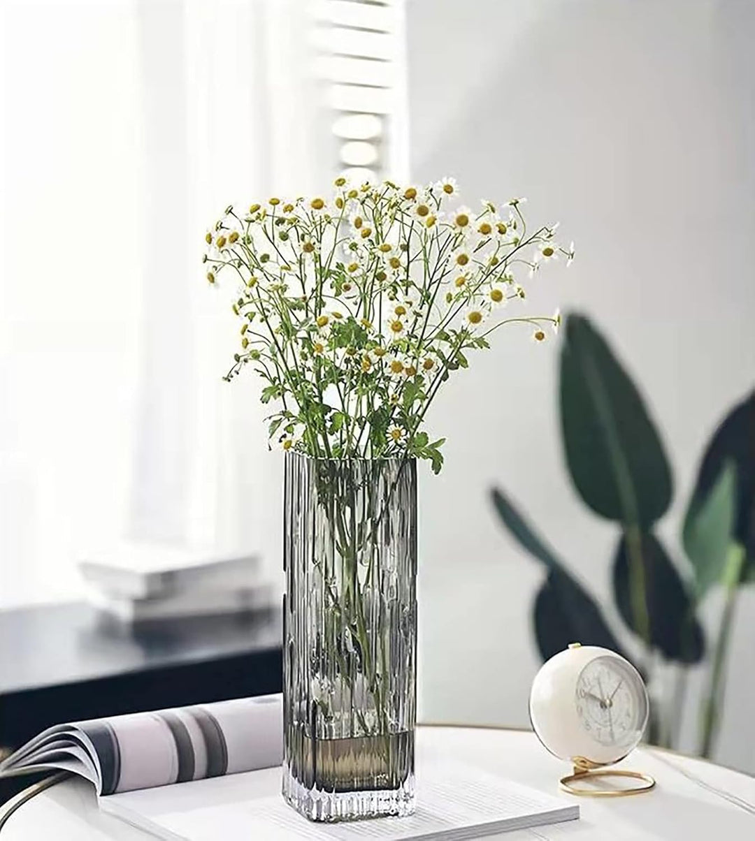 Rxcvkmw Moderne, minimalistische Glasvase, quadratische Vase, Kristallglasvase, Vase, trockene Vase