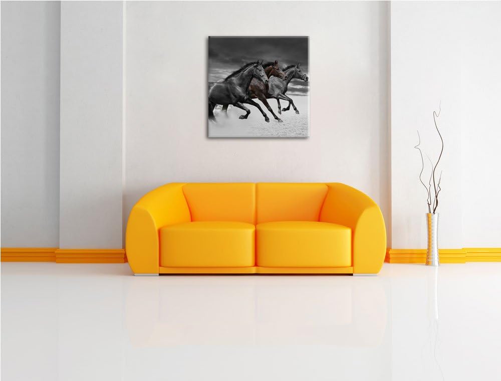 Pixxprint Westernpferde im Sand als Leinwandbild Quadratisch/Grösse: 70x70 / Wandbild/Kunstdruck/fer