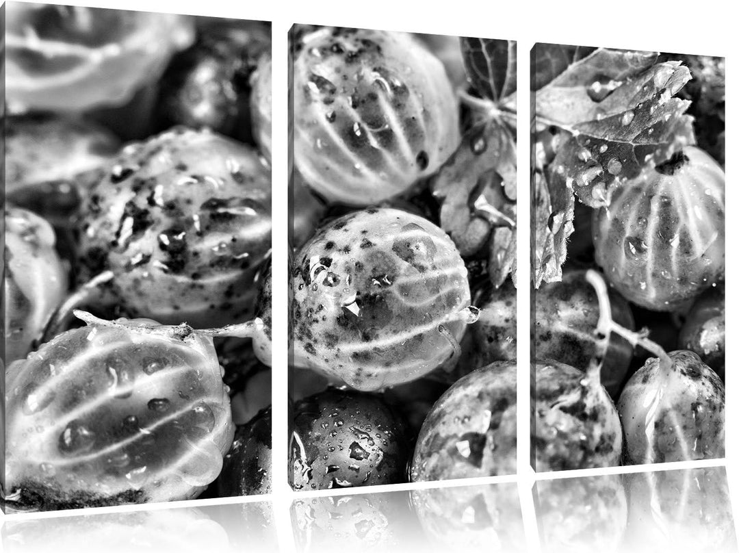 Pixxprint Leckere Stachelbeeren als Leinwandbild/Grösse: 3 Teilig (120x80) cm/Wandbild/Kunstdruck/fe