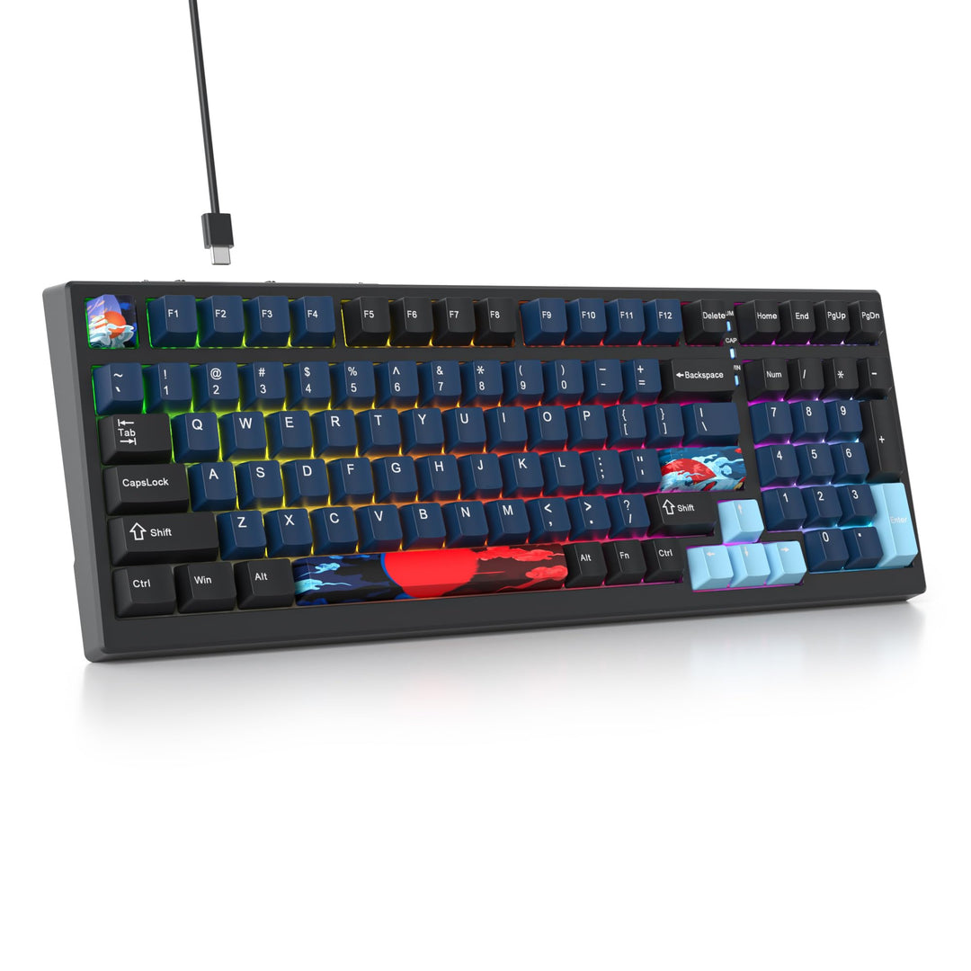 SOLIDEE 95% mechanische Gaming-Tastatur,hot-swap-fähige Tastatur mit weisse Schalter,Gasket RGB-Hint