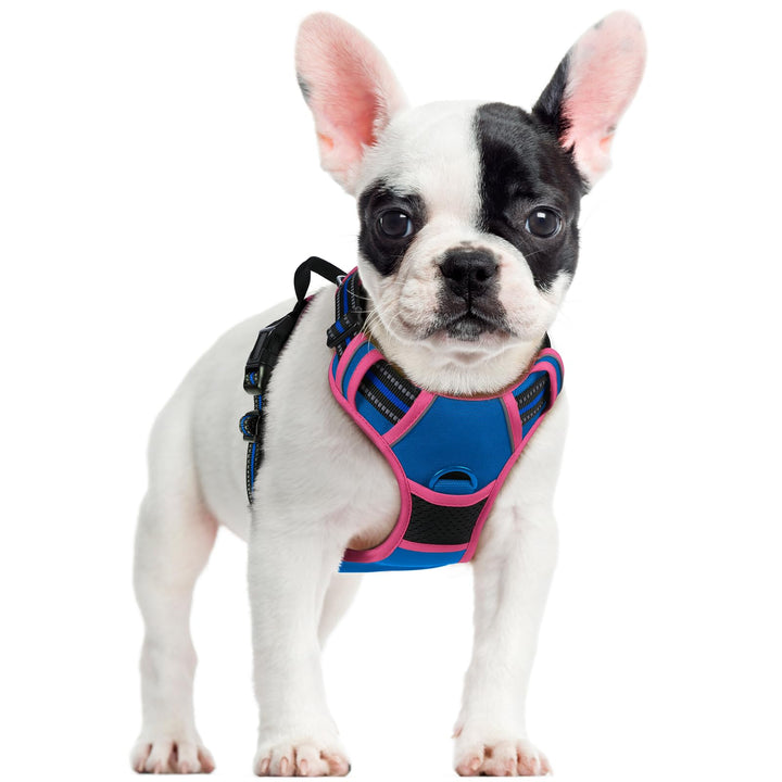 rabbitgoo Hundegeschirr Mittelgrosse Hunde, Anti Zug Geschirr mit Kontrolle, No Pull Verstellbar Hun