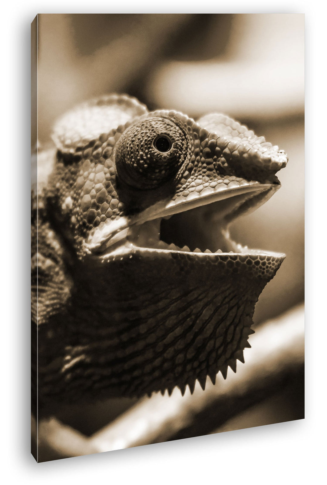deyoli lustiges Chamäleon Format: 80x60 Effekt: Sepia als Leinwand, Motiv fertig gerahmt auf Echthol