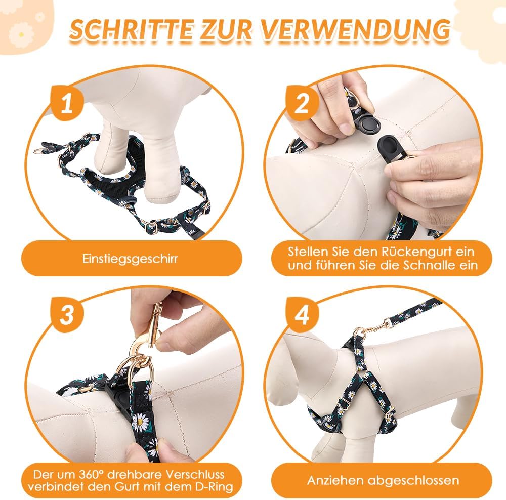 Eyein Hundegeschirr Kleine Hunde mit Leine, Atmungsaktiv Air Mesh Brustgeschirrmit reflektierenden S