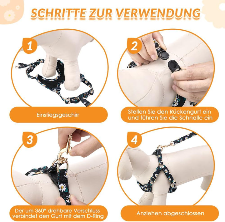 Eyein Hundegeschirr Kleine Hunde mit Leine, Atmungsaktiv Air Mesh Brustgeschirrmit reflektierenden S