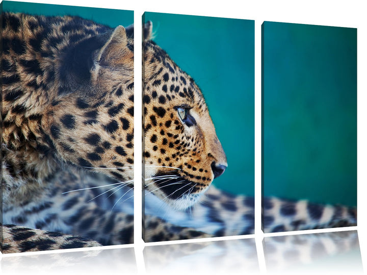 Pixxprint Wachsamer Gepard als Leinwandbild/Grösse: 3 Teilig (120x80) cm/Wandbild/Kunstdruck/fertig