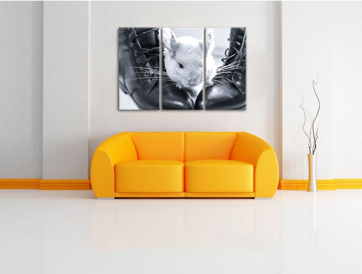 Pixxprint Chinchilla zwischen Schuhen als Leinwandbild/Grösse: 3 Teilig (120x80) cm/Wandbild/Kunstdr