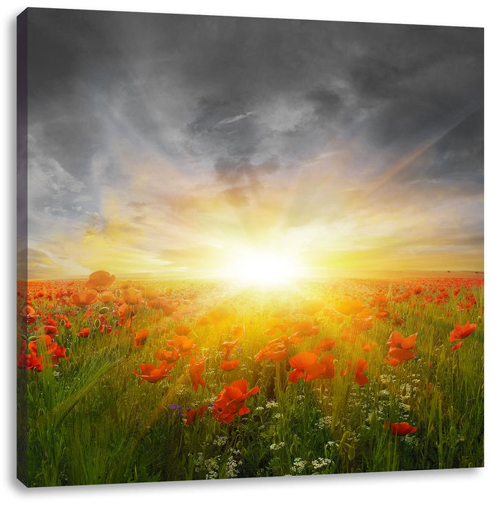 Pixxprint Mohnwiese in der Sonne / 70x70cm Leinwandbild bespannt auf Holzrahmen/Wandbild Kunstdruck