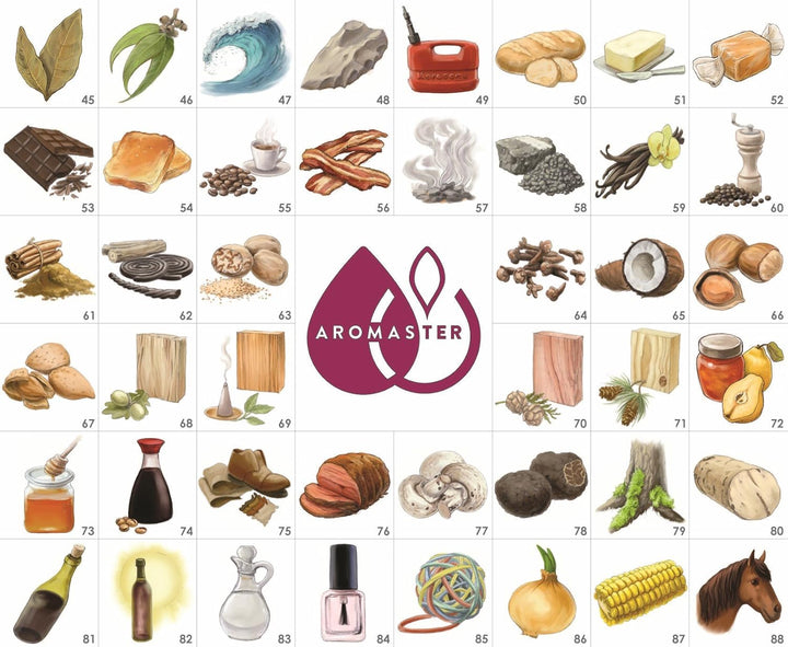 Aromaster Master Wein-Aroma-Set - 88 Weinaromen (Deutsche Version)