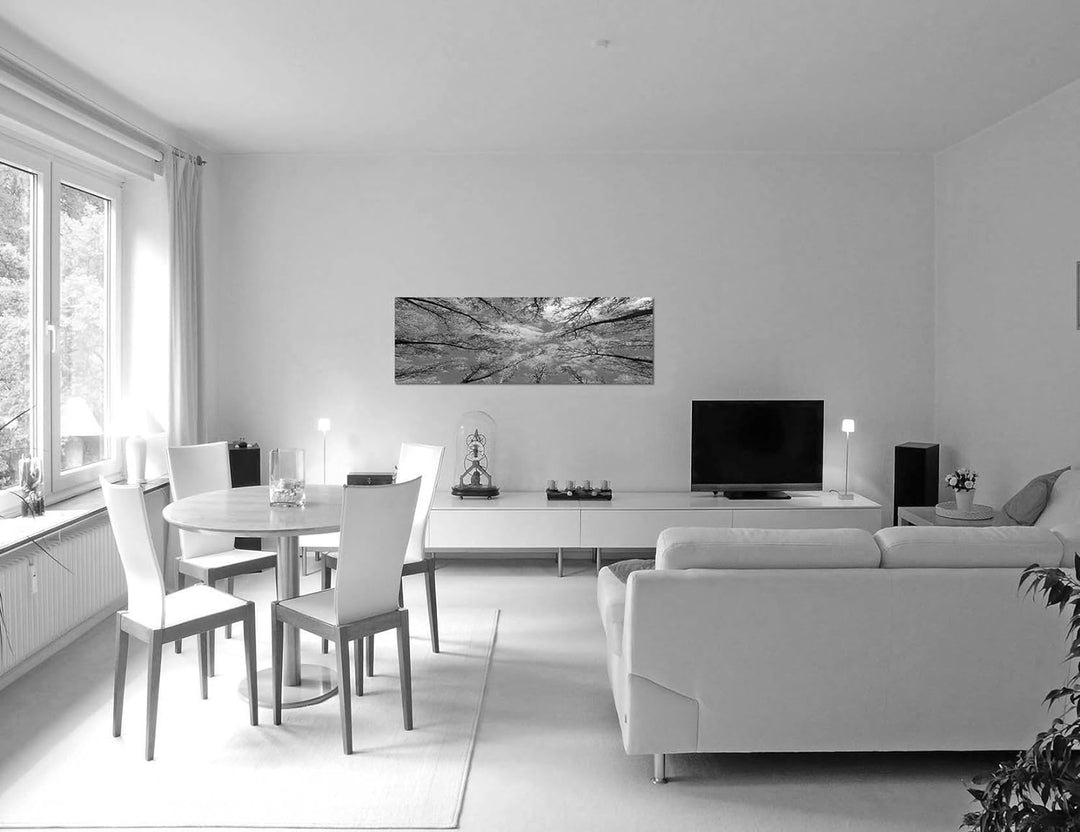 Paul Sinus Art Leinwandfoto als Panorama SCHWARZ/Weiss 120x40cm Baumkronen Wald Herbst Himmel