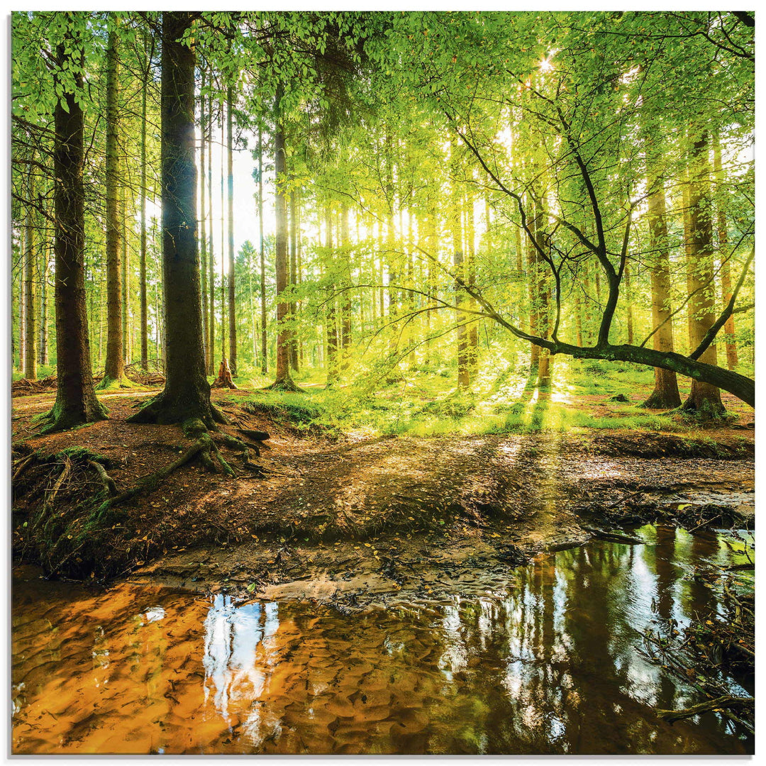 Glasbilder Wandbild Glas Bild einteilig 40x40 cm Quadratisch Wald Natur Landschaft Bäume Bach Sonne