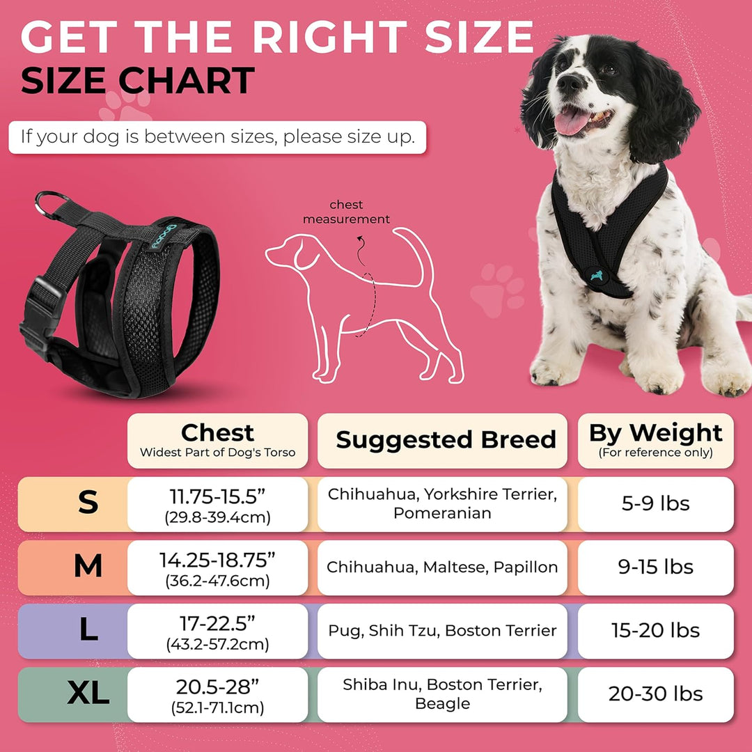 Gooby Choke Free Comfort X Hundegeschirr, weich, Grösse S, Schwarz 11.75-15.5" schwarz, 11.75-15.5"