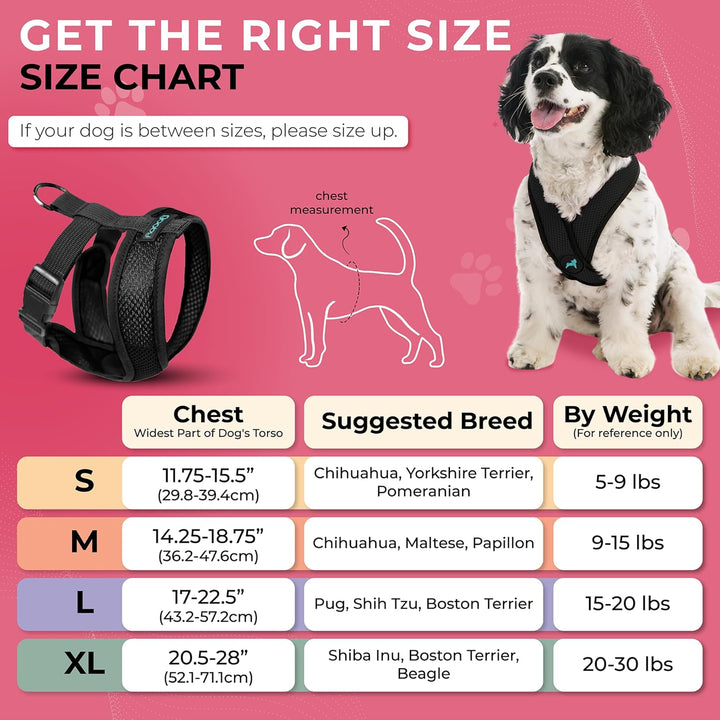 Gooby Choke Free Comfort X Hundegeschirr, weich, Grösse S, Schwarz 11.75-15.5" schwarz, 11.75-15.5"