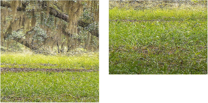 Runa Art Bild Wald Landschaft Wandbilder auf Vlies Leinwand 5 Teilig Wanddekoration Schlafzimmer Woh