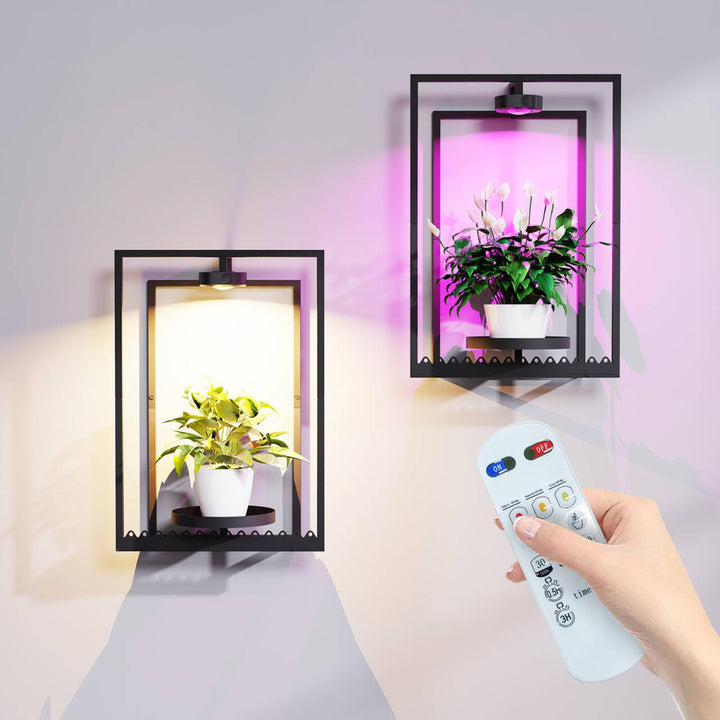 Frame Plant Wall Stand with Grow Light, Black Display Wall Plant Holder for Hanging Plants Medium 2,