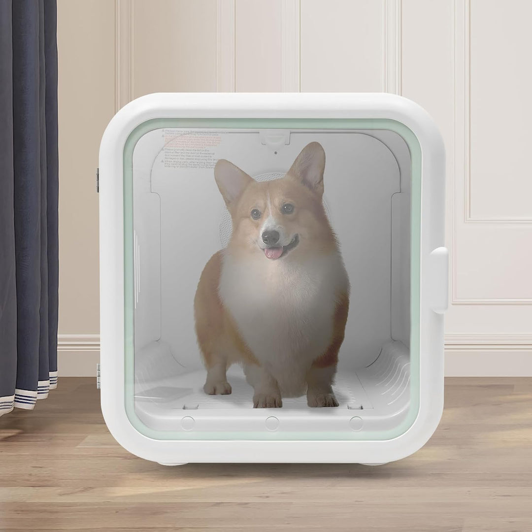800W Haustier Trocknerbox 35dB Leise 62L Kapazität Temperiertes Glas ABS Gehäuse 22kg Katzen 16kg H