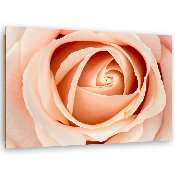 Feeby Dekobild Natur Deko Wand Kunstdruck Blume Orange 70x50 cm M14558 70x50 cm, M14558 70x50 cm