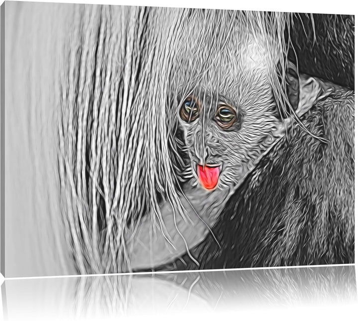 bildschönes Colobus-Äffchen schwarz/weiss Deluxe Format: 100x70 cm auf Leinwand, XXL riesige Bilder