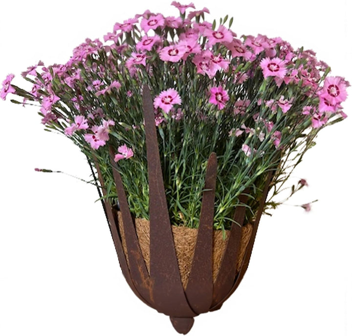 ecosoul Schale Windlicht Kerzenhalter Lotus Dekoschale verrostet mit 3 Füssen Durchmesser: 24cm unte
