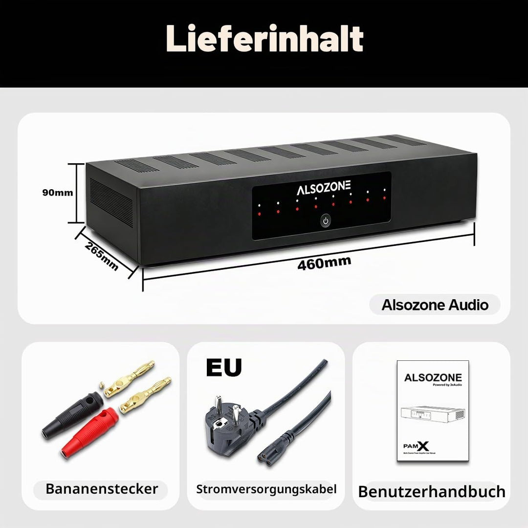 3eAudio PAM256 Multikanal-Endstufe - 6-Kanal Verstärker mit 250W pro Kanal, TPA3255 PBTL, GaN &amp; PFFB