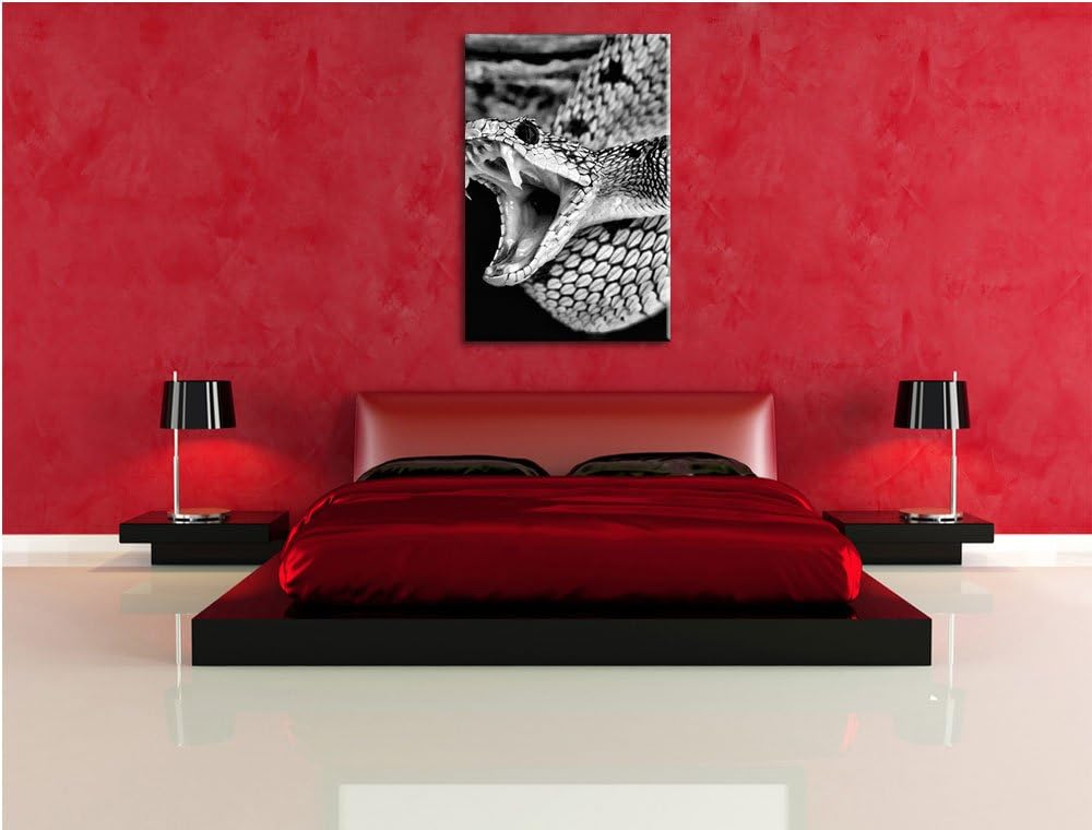 Pixxprint Giftige grüne Schlange als Leinwandbild | Grösse: 100x70 | Wandbild| Kunstdruck | fertig b